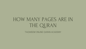 How Many Pages Are in the Quran