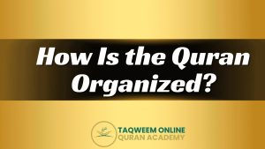 How Is the Quran Organized?